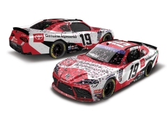 Ryan Truex #19 Toyota Genuine Accessories Dover Xfinity Race Win 1/24 2023 NASCAR Diecast HO