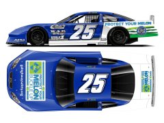 Preorder Ross Chastain #25 Protect Your Melon 1/24 2024 Late Model Diecast HO